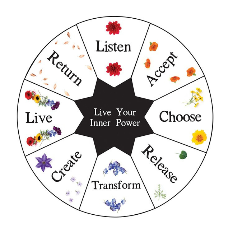 Live Your Inner Power Wheel